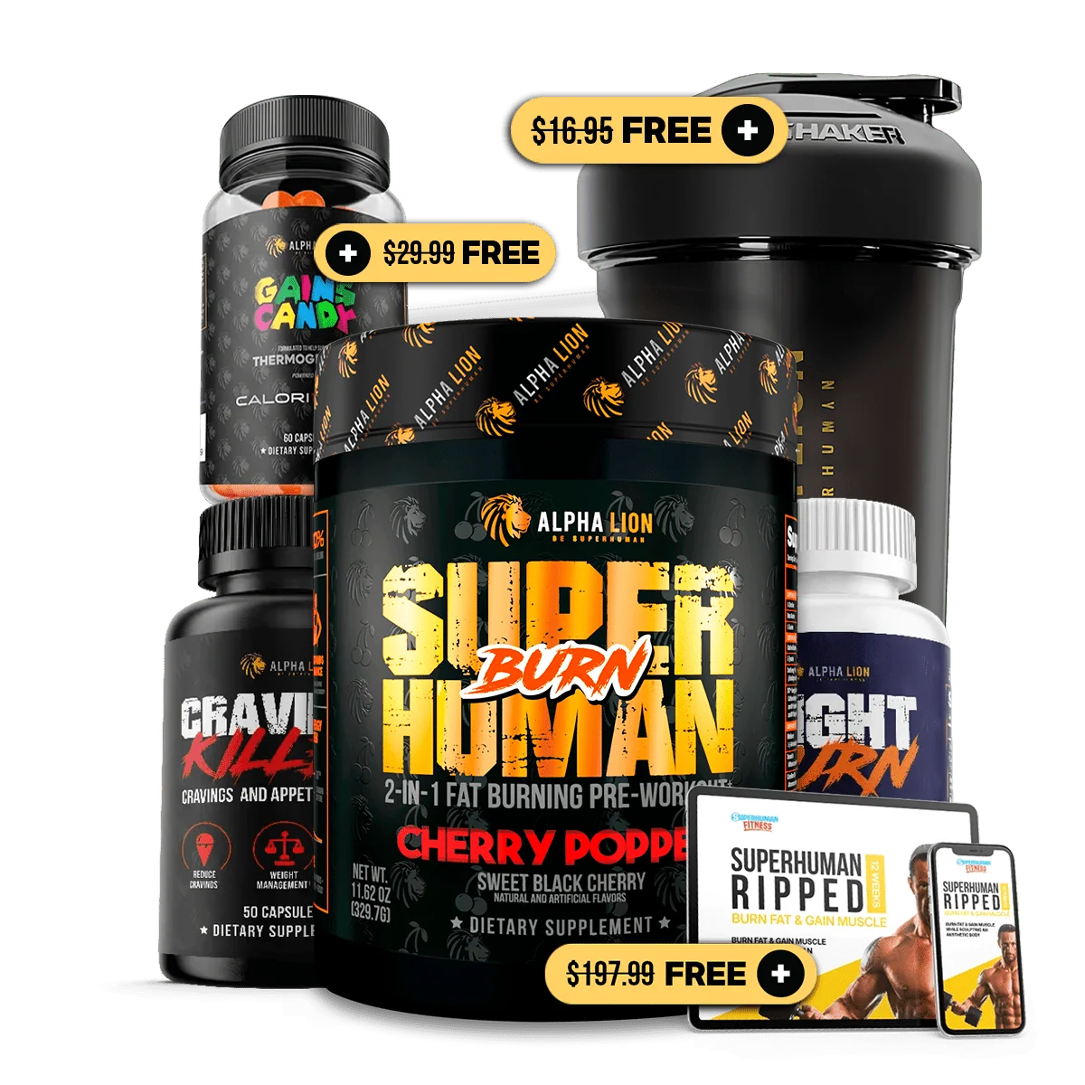 DAD BOD DESTROYER STACK - Image 5