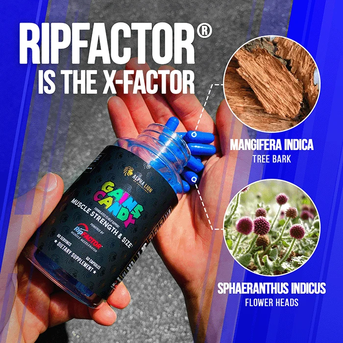 GAINS CANDY™ RIPFACTOR®  - Increase Muscle Strength & Size† - Image 3