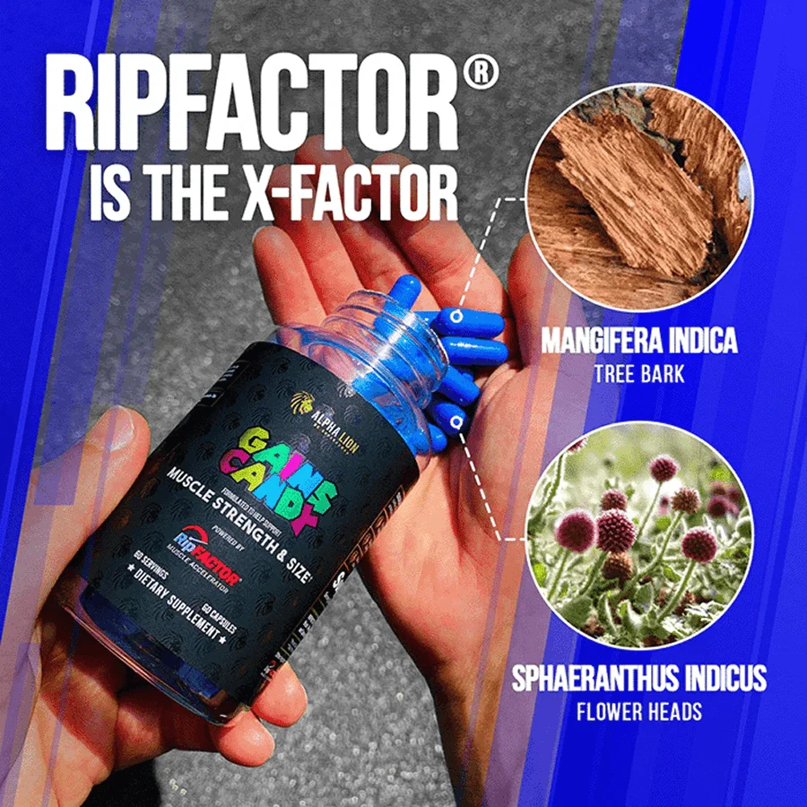 GAINS CANDY™ RIPFACTOR® - Increase Muscle Strength & Size† - Image 4