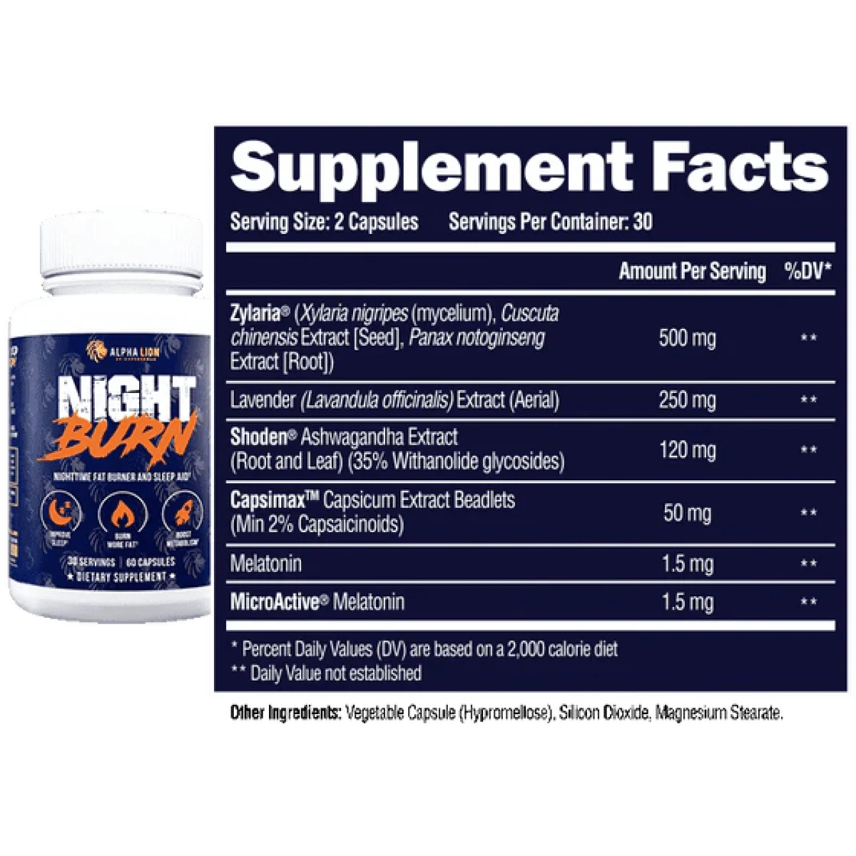 NIGHT BURN - Nighttime Fat Burner NL x1 - Image 5