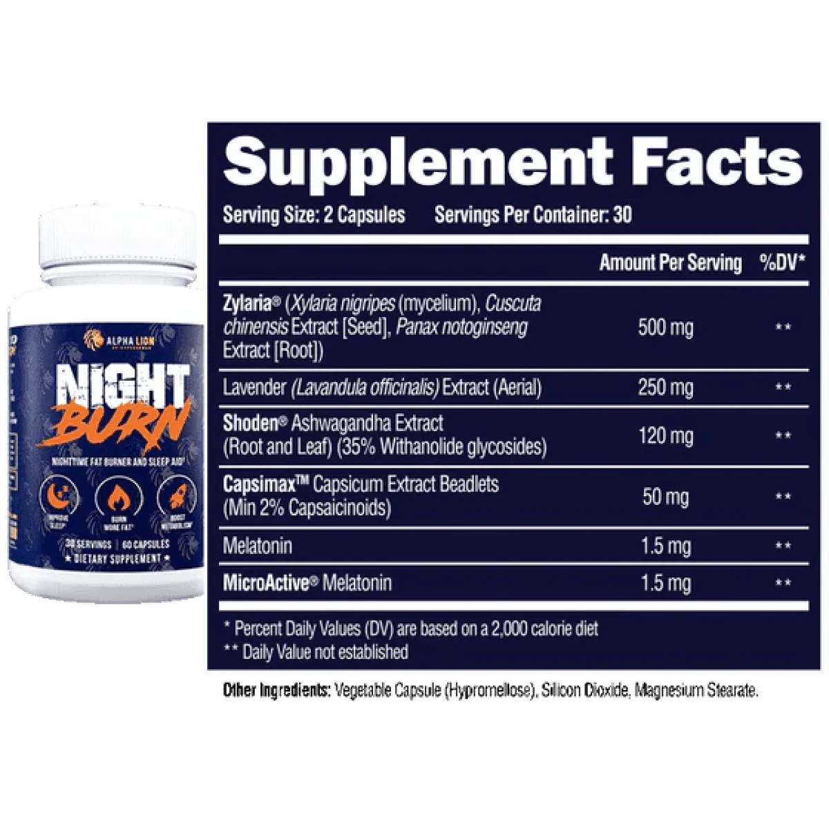 NIGHT BURN - Nighttime Fat Burner NL x6 - Image 5