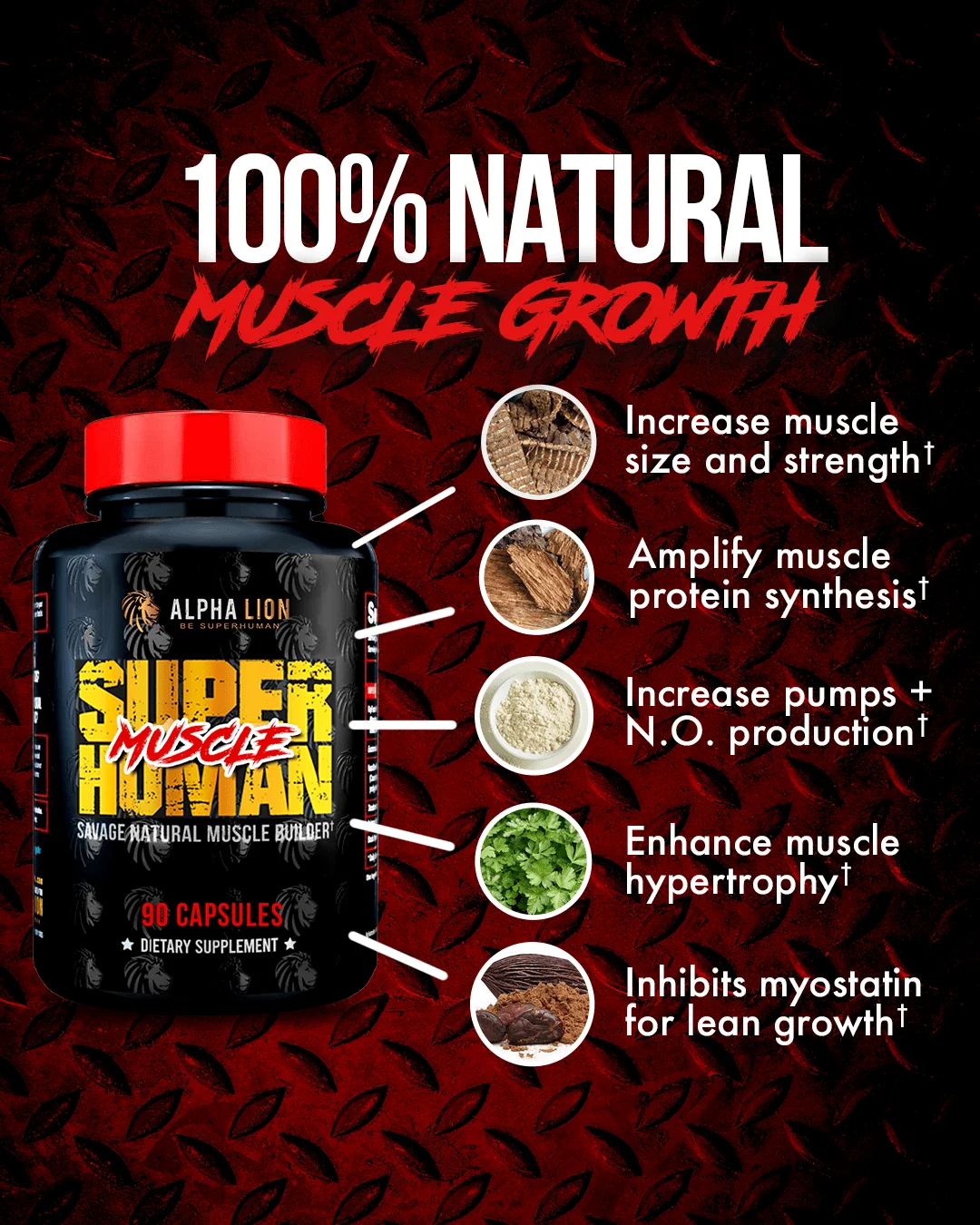 SUPERHUMAN MUSCLE - Natural Muscle Builder - Image 5